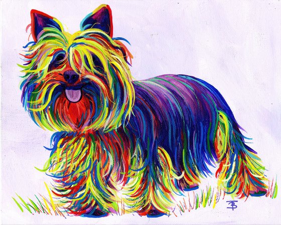 Rainbow Terrier