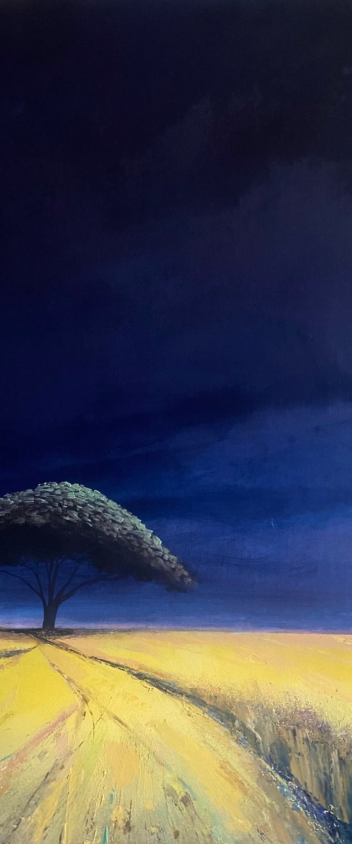 Acacia Tree in a Surreal Landscape V by Simon Jones