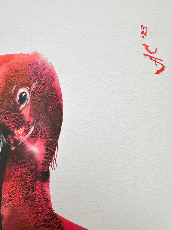 Birds: Two Scarlet Ibises