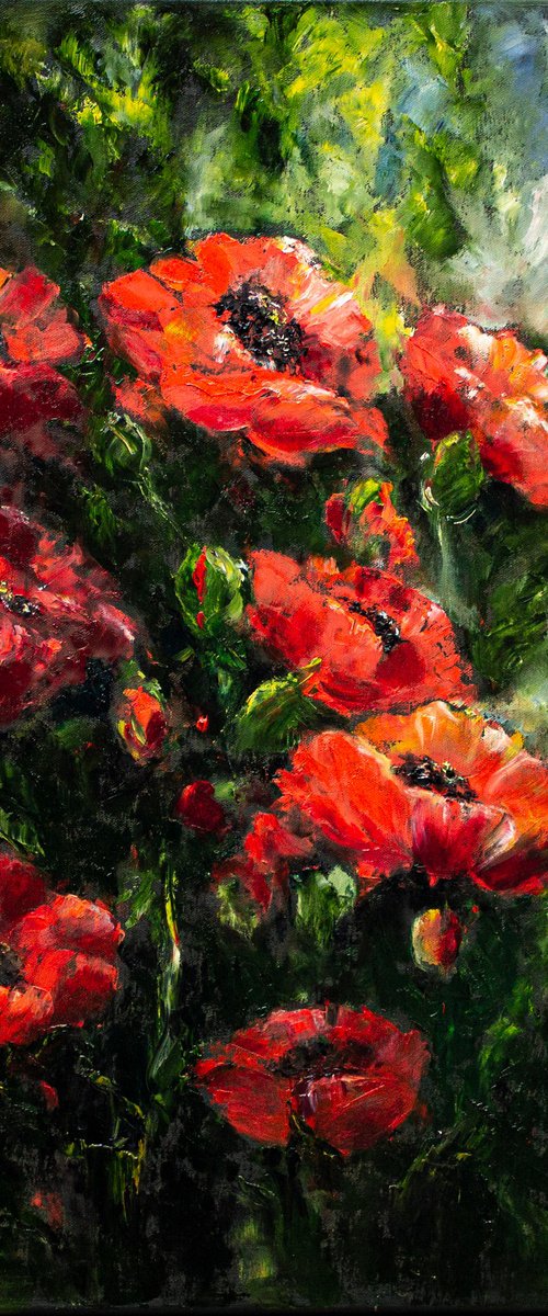 In love with poppies by Mila Moroko