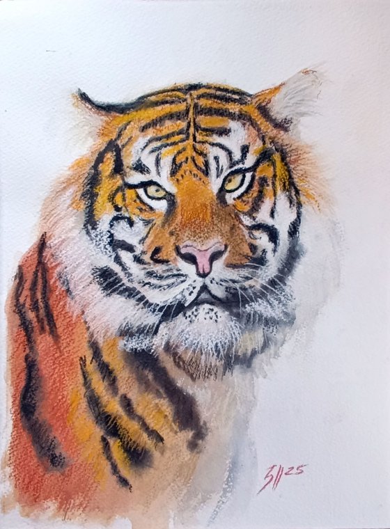 Tiger II