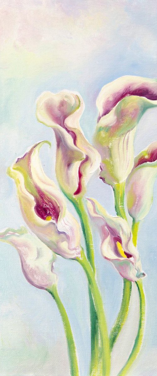 Calla Lilies by Daria Galinski