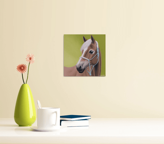 Horse Portrait 84