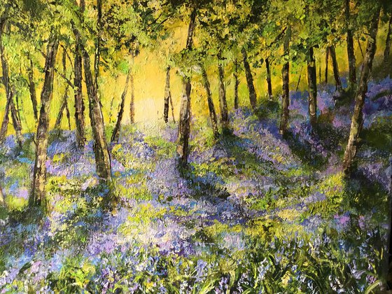 Bluebells no2