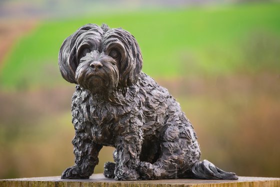 Maltese Terrier 2 Bronze Resin
