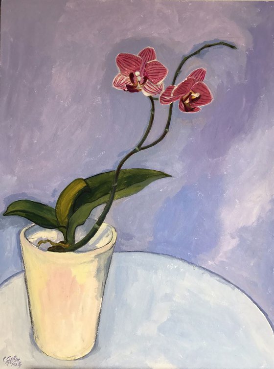 Orchid on blue