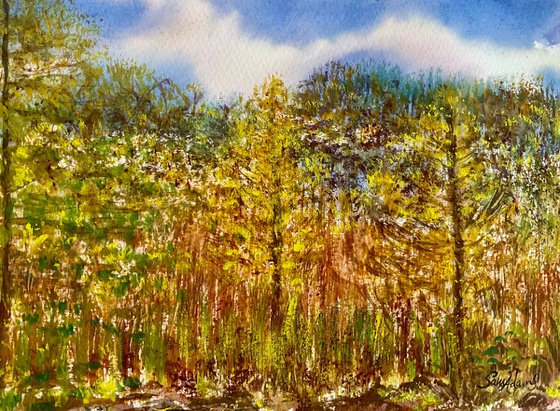 Seeing into nature