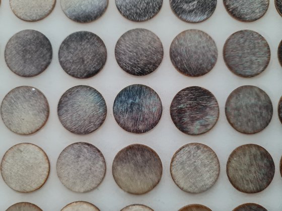 I came last night (n.726)