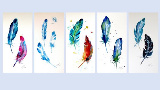 Feathers collection