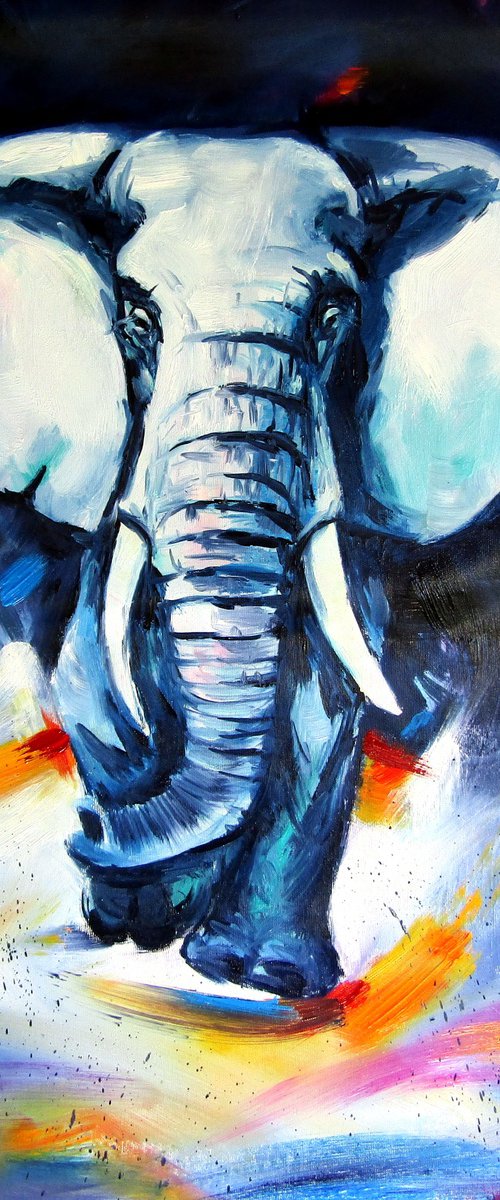 Majestic elephant at night by Kovács Anna Brigitta