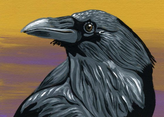 ACEO ATC Original Miniature Painting Crow Raven Bird Wildlife Art-Carla Smale