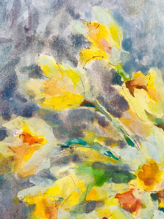 Daffodils 3 2024