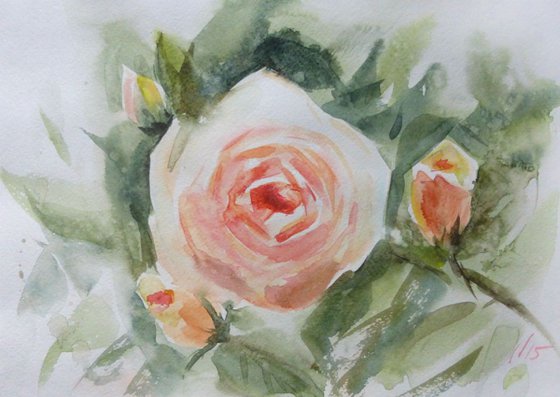 whiter roses, 30x21 cm