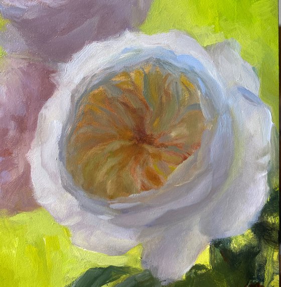 "Morning Glory Roses" Contemporary Original Botanical Still Life Oil Painting