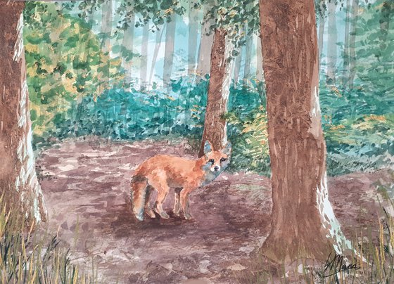 Fox in a Glade