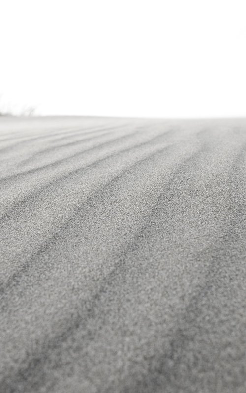 Sand Dunes - I by Robert Houser