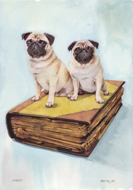 TWO PUGS with OLD BOOK