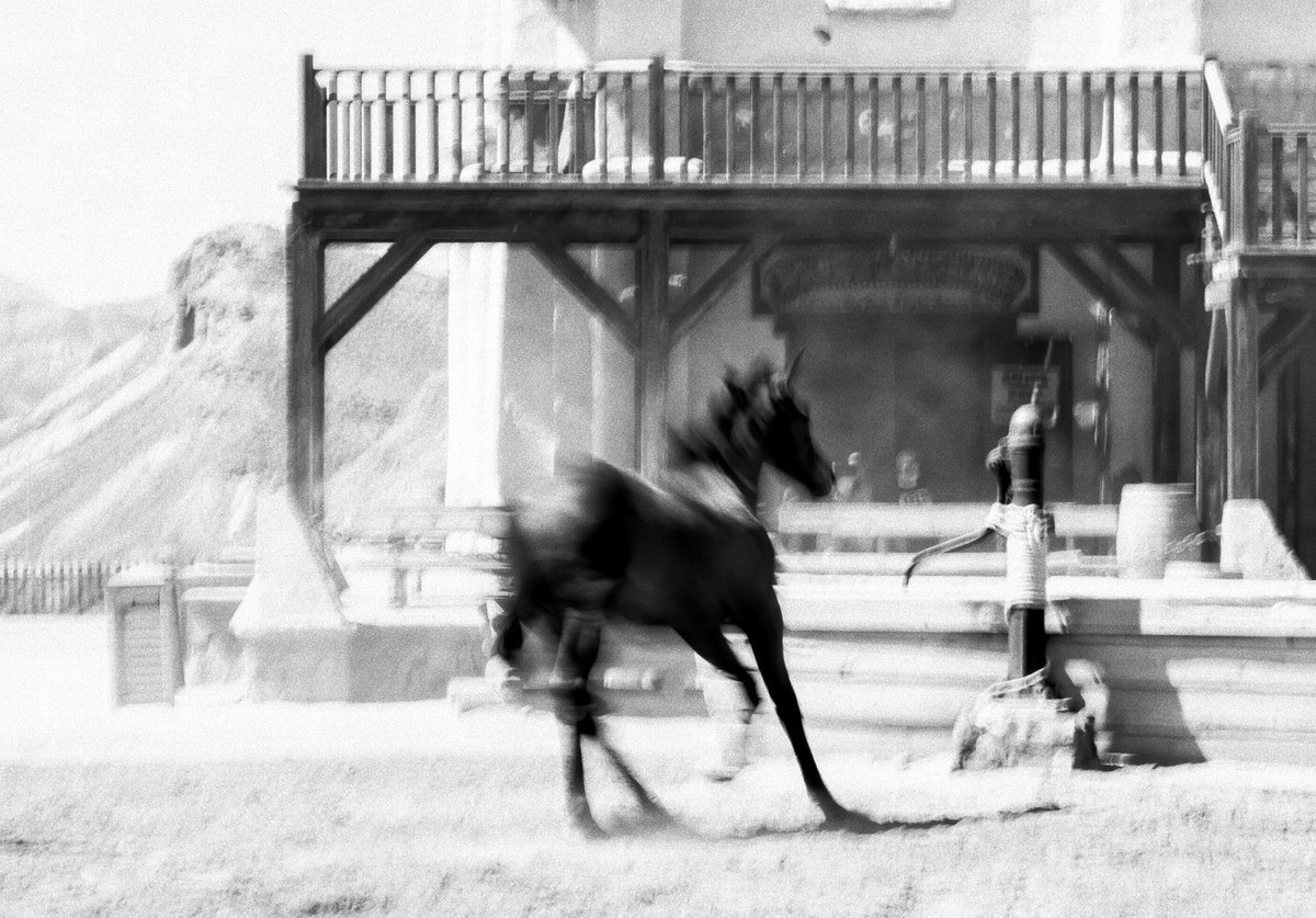 Expressive Animal Photograph By Lionel Le Jeune, 30 X 21", Western, Original Artwork