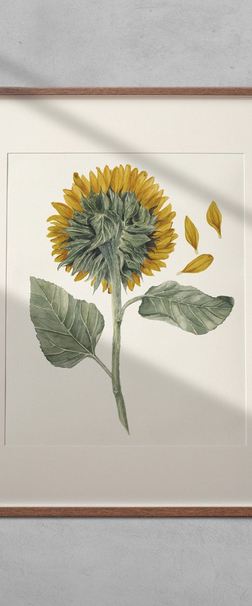 Sunflower by Viktoryia Zhuleha