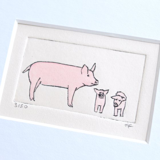 Small framed pig and two young