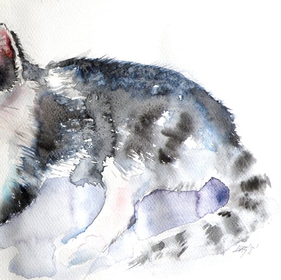 Cat II