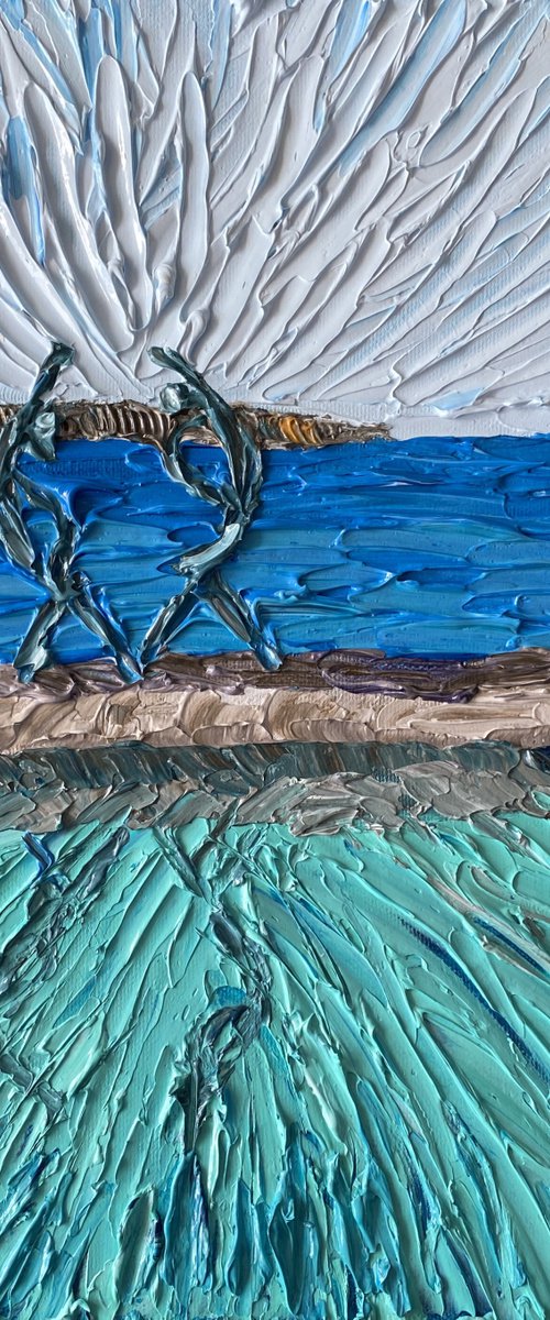 Manly pool by Guzaliya Xavier