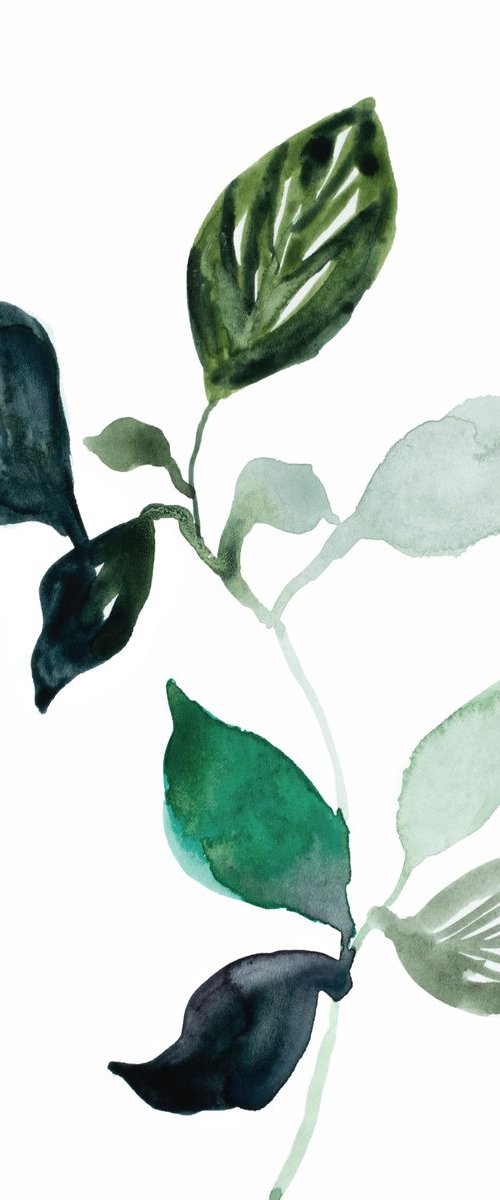 The Woods No. 73 by Elizabeth Becker