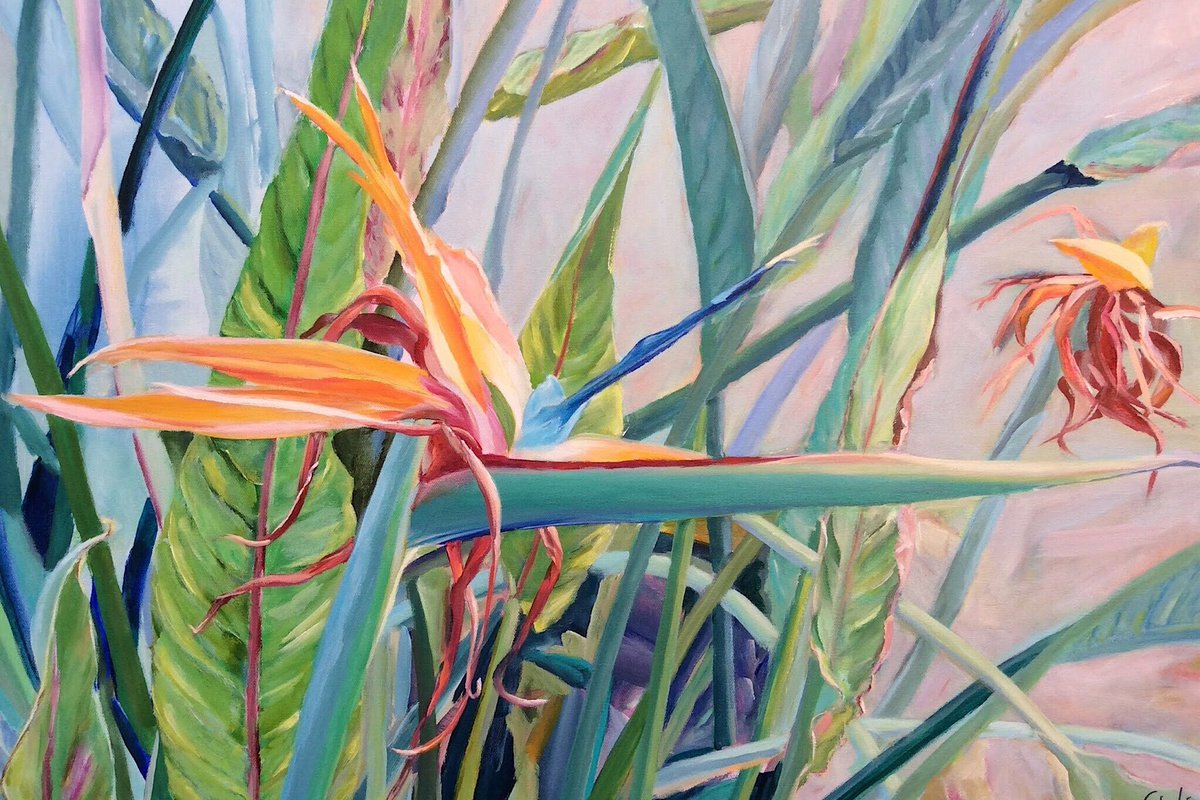 Bird of paradise by Irene Schaefer