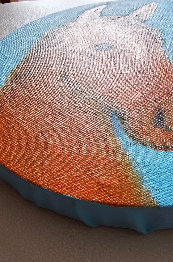 My little orange chestnut horse on blue