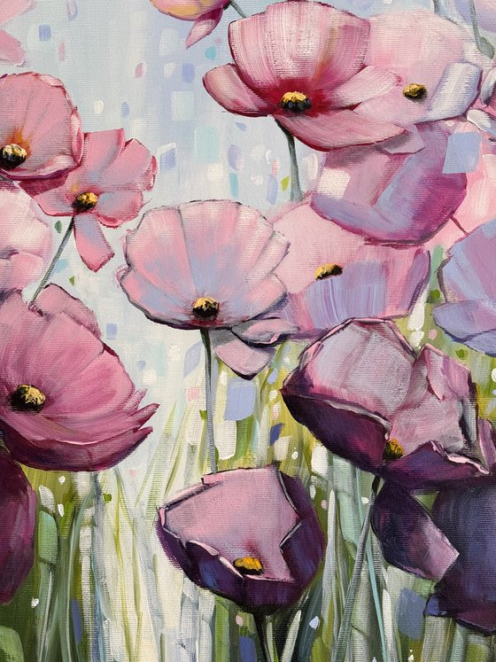 Poppies Land 16
