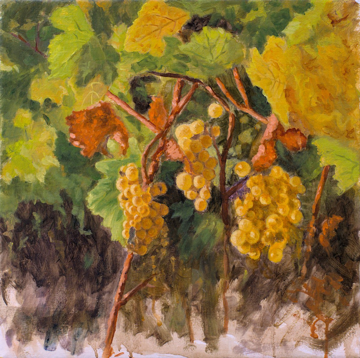 Impressionistic Botanical Oil Painting By Dejan Trajkovic, 16 X 16, Good Year - White, Original Artwork