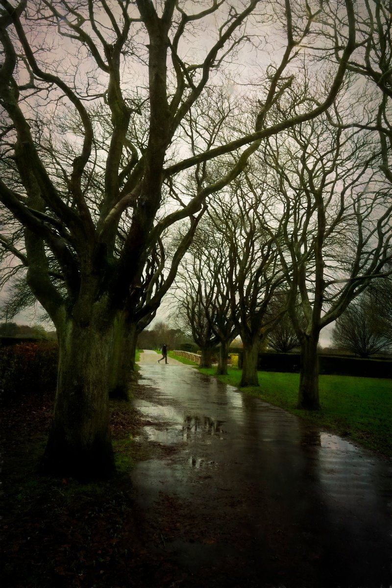 Photorealistic Landscape Photograph By Martin Fry, 21 X 15", A Walk In The Rain, Original Artwork