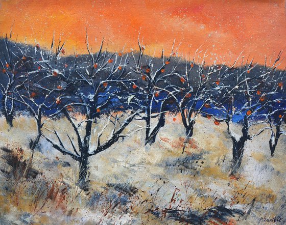 apple trees in winter