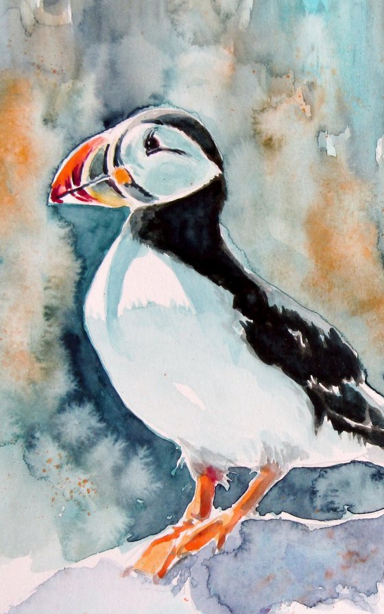 Puffin collection