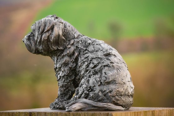 Maltese Terrier 2 Bronze Resin