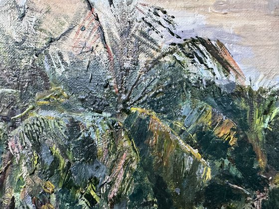 Lotus Pond in Kerala, India