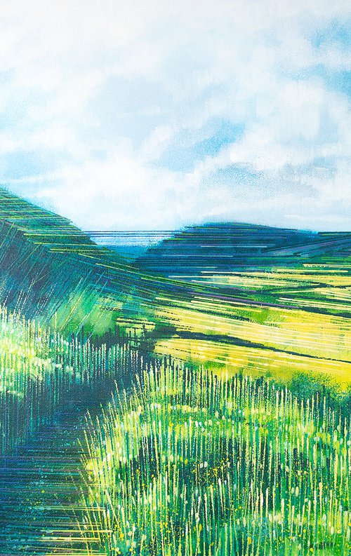 Peak Hill In Summer by Marc Todd