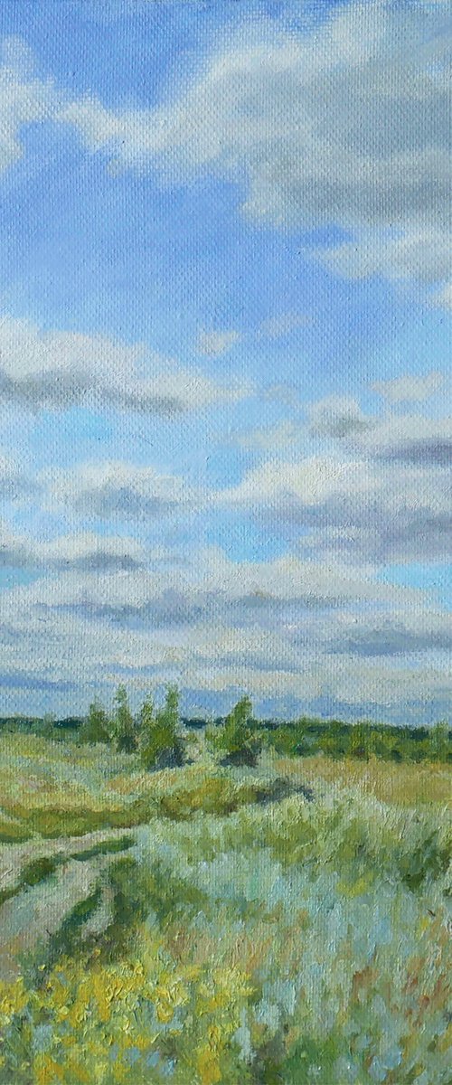 The High Sky by Nikolay Dmitriev