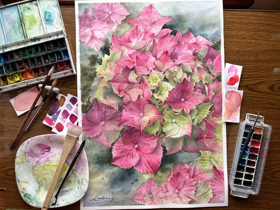 Pink hydrangeas