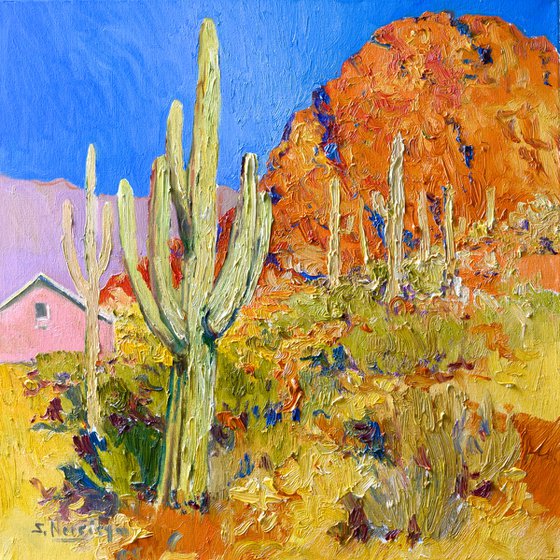Saguaro Cactuses in Arizona