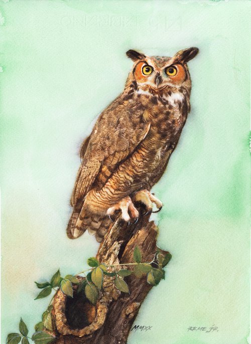 OWL - BIRD CV by REME Jr.