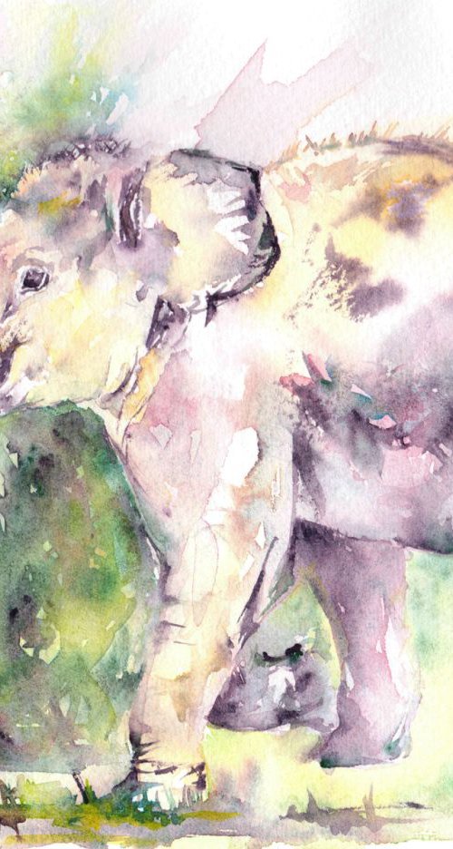 Baby elephant by Anjana Cawdell