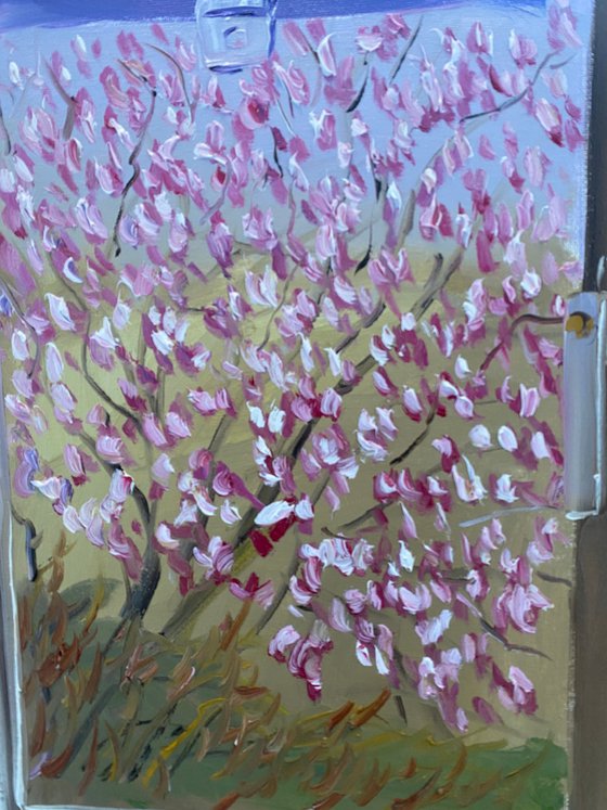 Spring window
