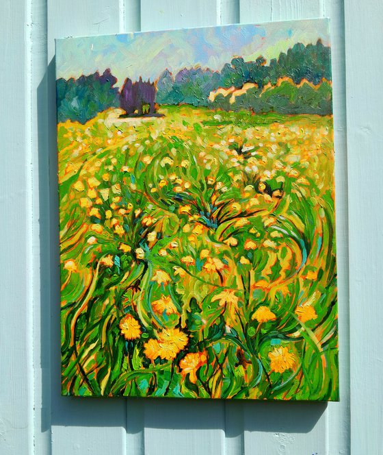 Dandelion Stars Carpet My Path