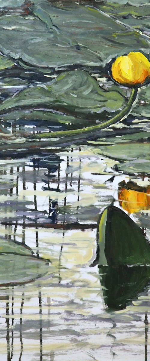 Water Lilies by Yuanyuan Liu