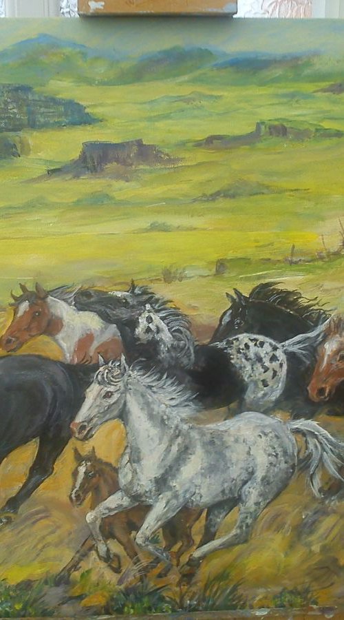 Mustangs by Valerie Reffold