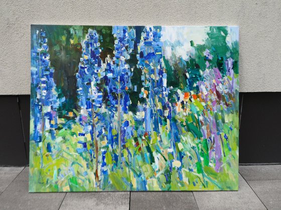 " Lupines in my garden"