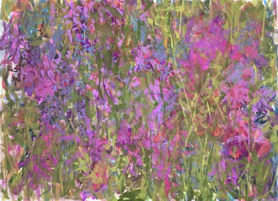 'Violet Wild Flowers'