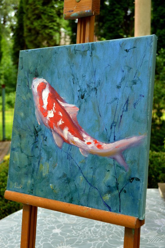 Red Koi carp