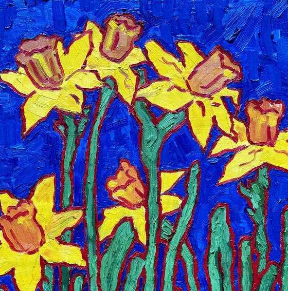 Daffodils